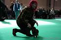 Crufts2011_2 885